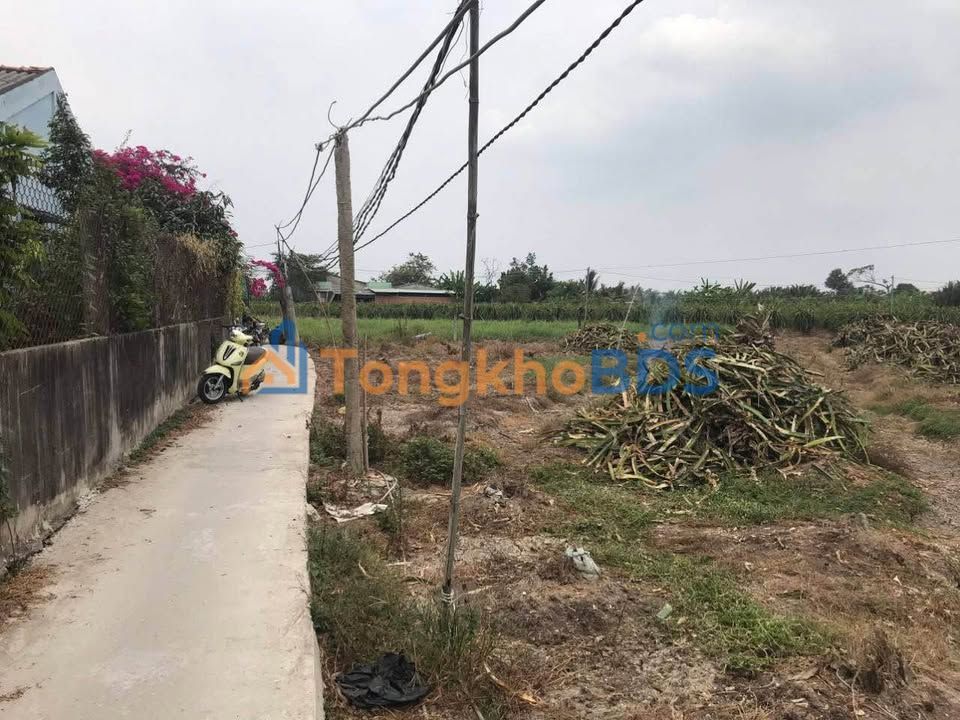 Bán Đất Lúa Long An 1490m² - Giá Tốt Đầu Tư