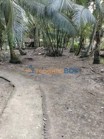 Đất nền Thới Tân 504m² 250 triệu - Sổ đỏ chính chủ