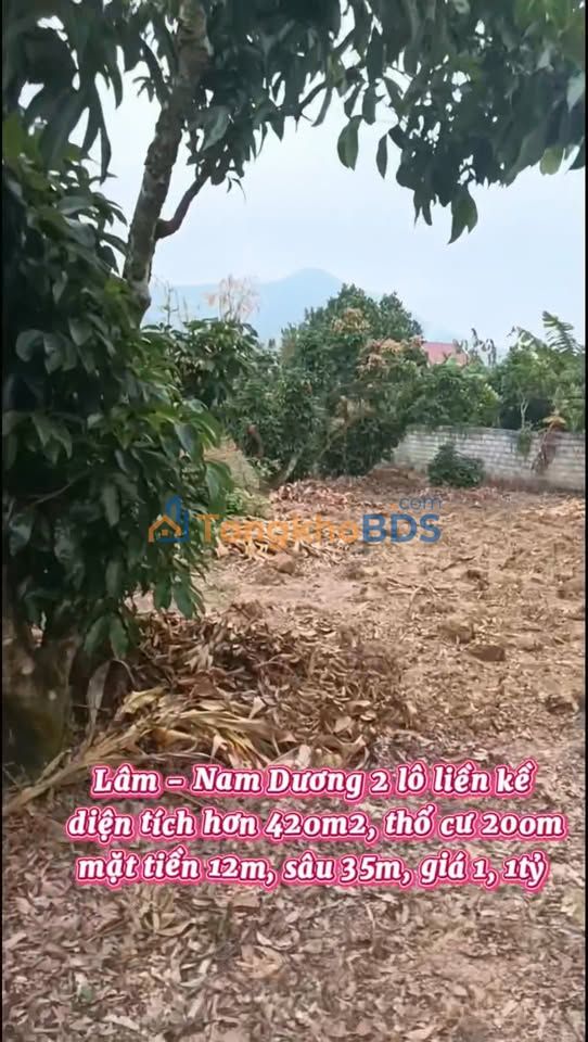 Bắc Giang: Bán Gấp 2 Lô Đất 400m² Xã Tân Quang, Lục Ngạn - Giá Đầu Tư 1.1 Tỷ