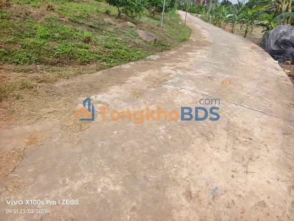 Đất vườn Tân Mộc Nam Dương 11.000m² sổ hồng rõ ràng