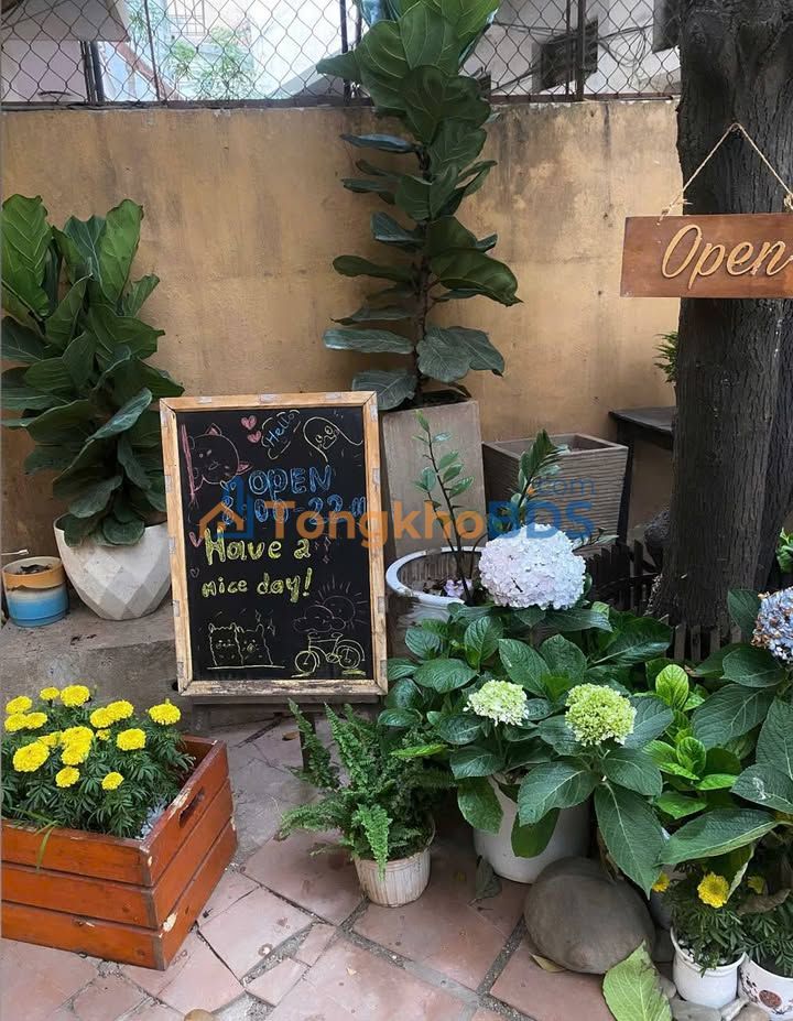 Quán cafe Nguyễn Trãi 135m² thương lượng - Mặt tiền kinh doanh