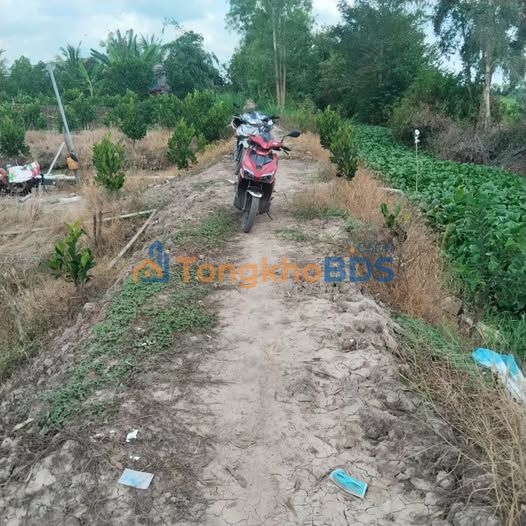 Đất vườn Hậu Mỹ Bắc B 7.500m² 2,85 tỷ - Đầu tư dài hạn