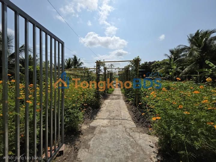 Đất vườn Mỹ Tho 1.071,5m² - Sinh thái xanh lý tưởng