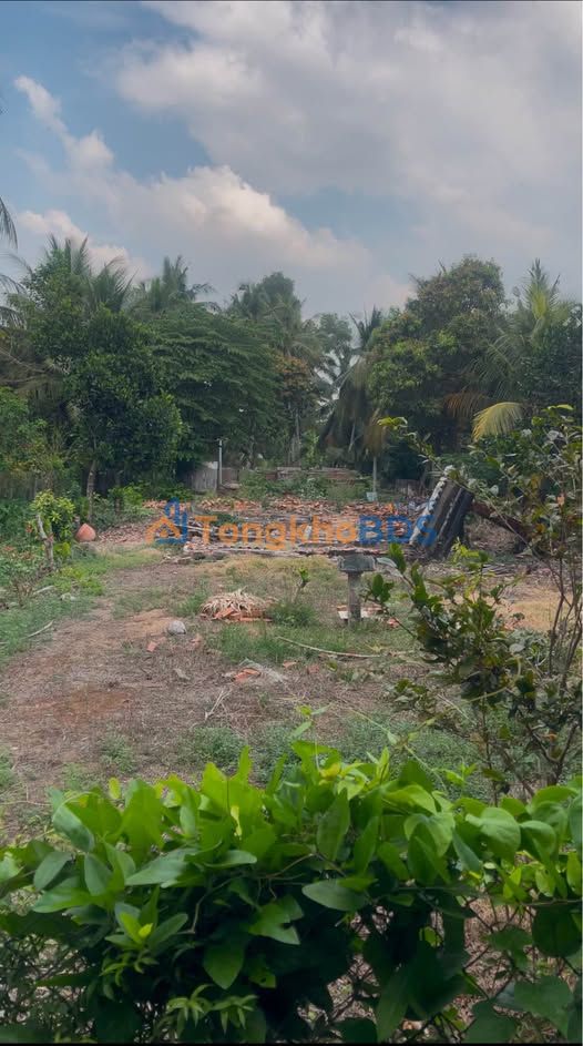 Đất nền Mỹ Phước Tây 2000m2 1,59 tỷ - Tiềm năng tăng giá