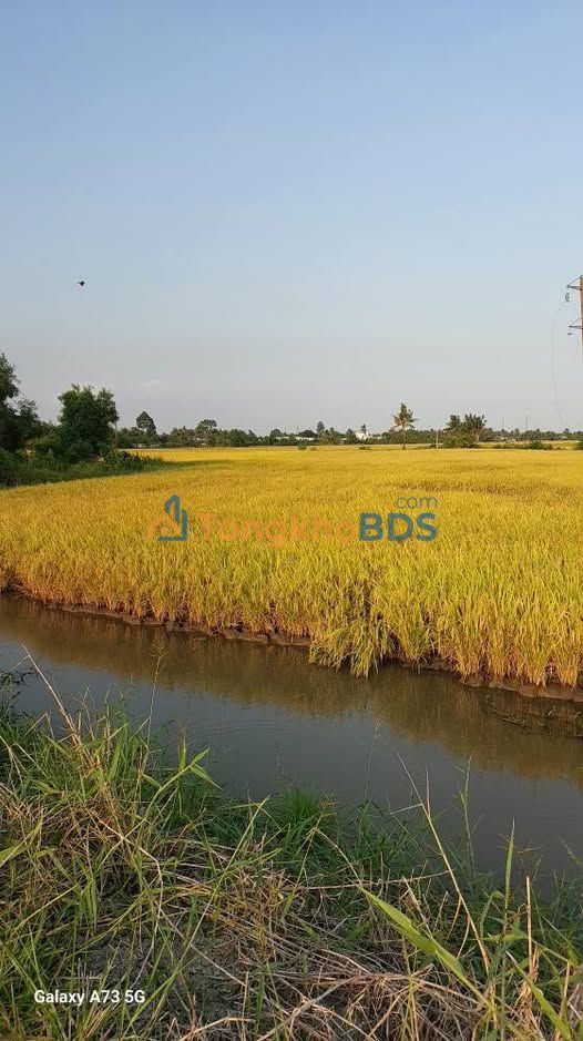 Đất nền Minh Lương – Giục Tượng 5.319m² – Tiềm năng tăng giá