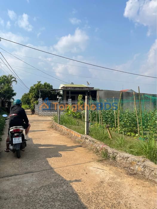 Đất nền Pleiku 150m² giá 800-899 triệu - Đường to ô tô