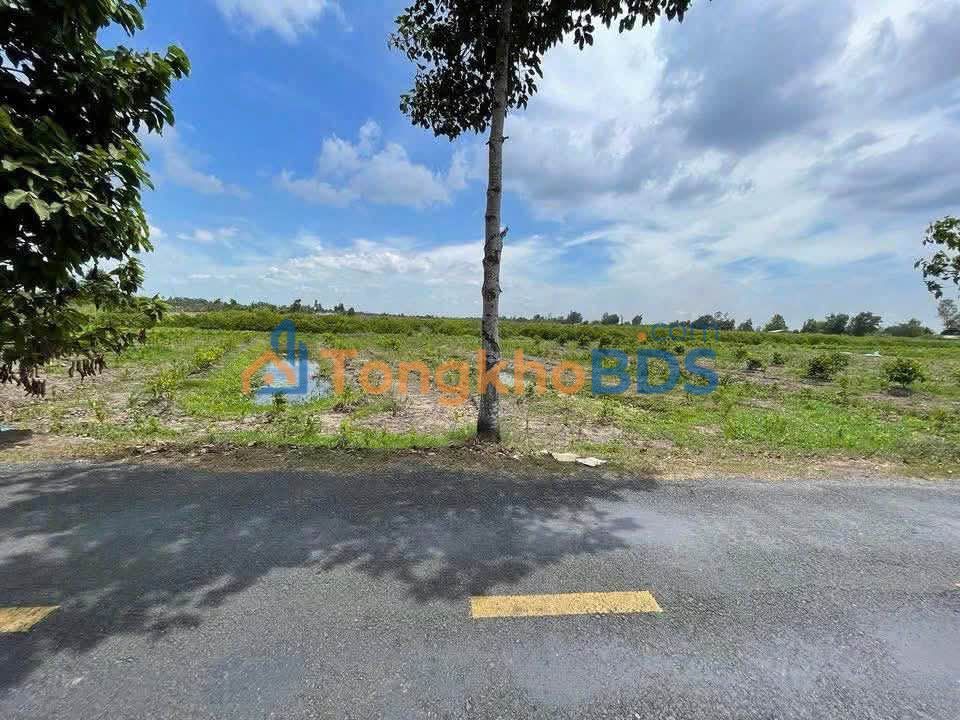 Bán Đất Vườn 1000m² Hậu Giang - Giá 1 Tỷ, Sổ Hồng