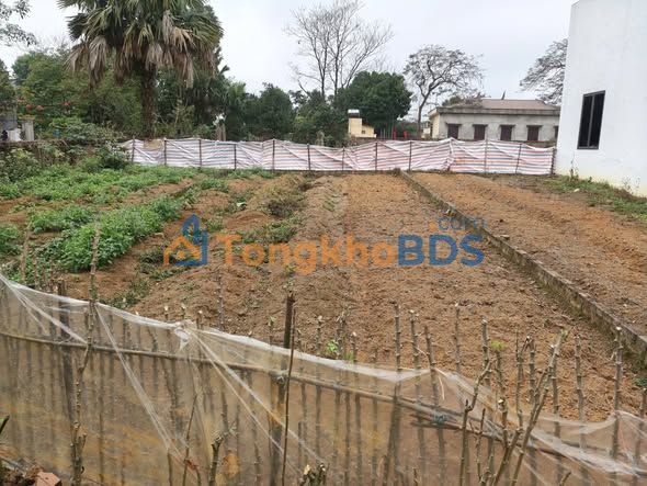 Bán đất nền Phú Thọ 100m² - Sổ đỏ vuông vắn, khu dân cư đông đúc