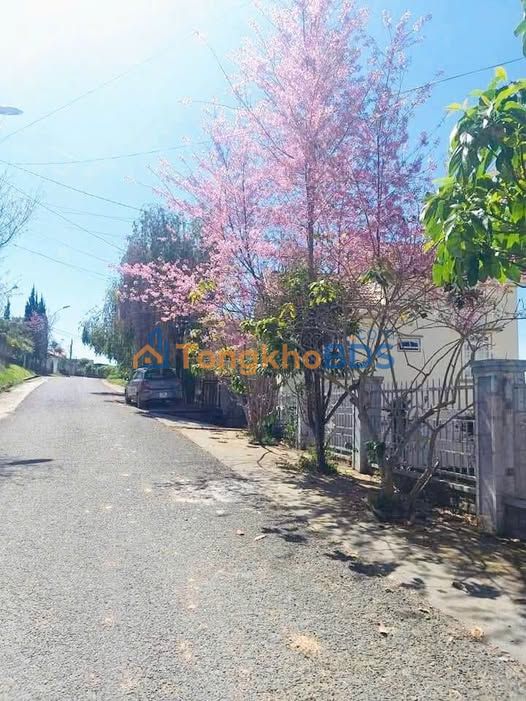 Đất trống Lý Nam Đế Đà Lạt 406m² 12 triệu - Đường ô tô