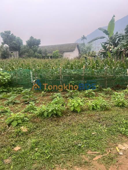 Đất Vàng Phú Thọ - 300m² Sổ Đỏ Chỉ 200 Triệu, Xuân Thủy, Yên Lập