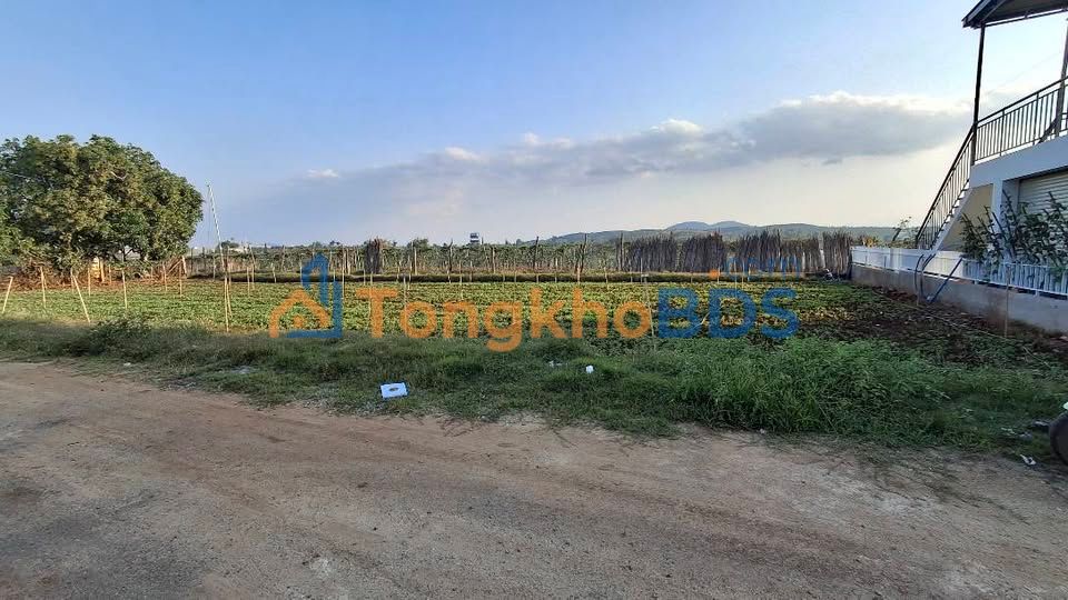 Đất nền Phú Hội Đức Trọng 147m² giá thỏa thuận - Sổ đỏ chính chủ