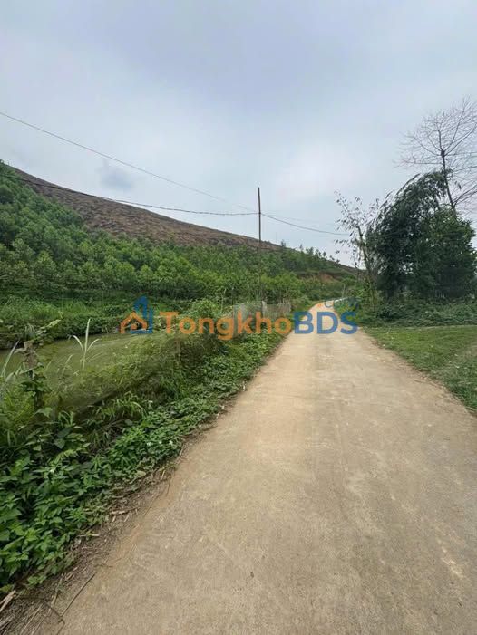 Đất Ngọc Đồng Yên Lập 700m² - Pháp lý rõ ràng