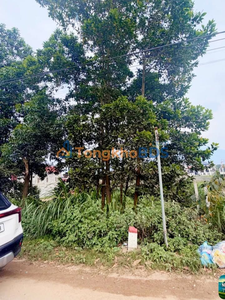 Đất nền Tu Vũ 100m² giá thỏa thuận - Giá tốt hiếm có