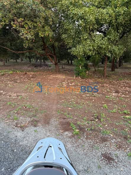 Bán Đất Rẻ Bình Phước 16.320m² Sổ Hồng - Giá 850 Triệu