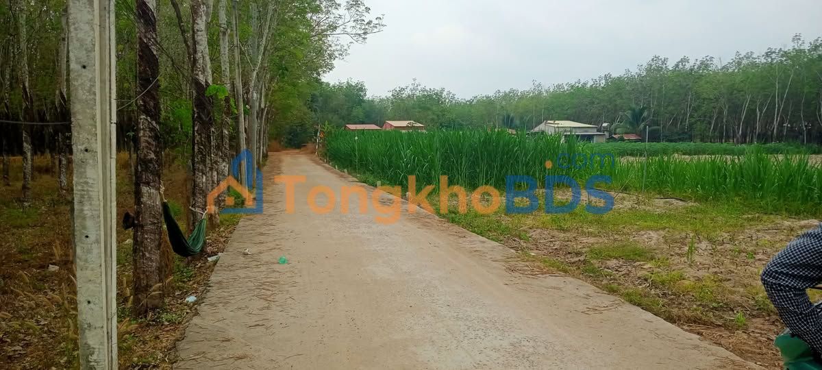 Đất nền Phường Ninh Sơn Tây Ninh 130m² thương lượng - Sổ đỏ chính chủ