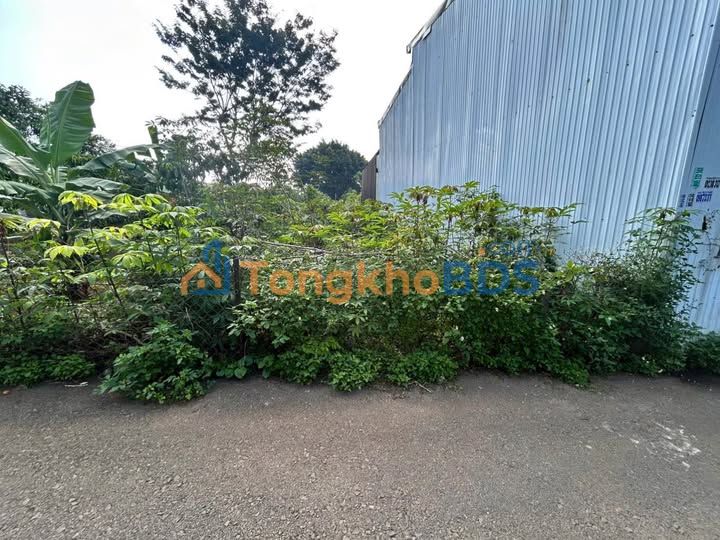 Đất nền Bảo Lộc Phan Đình Phùng 91m² 1.3 tỷ - Thổ cư 100%