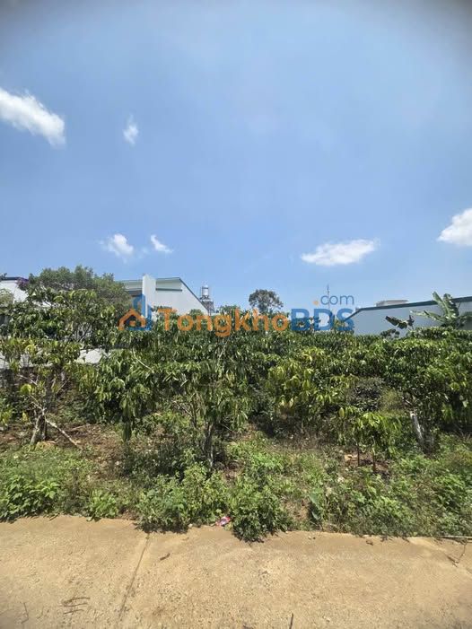 Đất nền Lộc Châu 378m² 1.75 tỷ - Sổ đỏ chính chủ