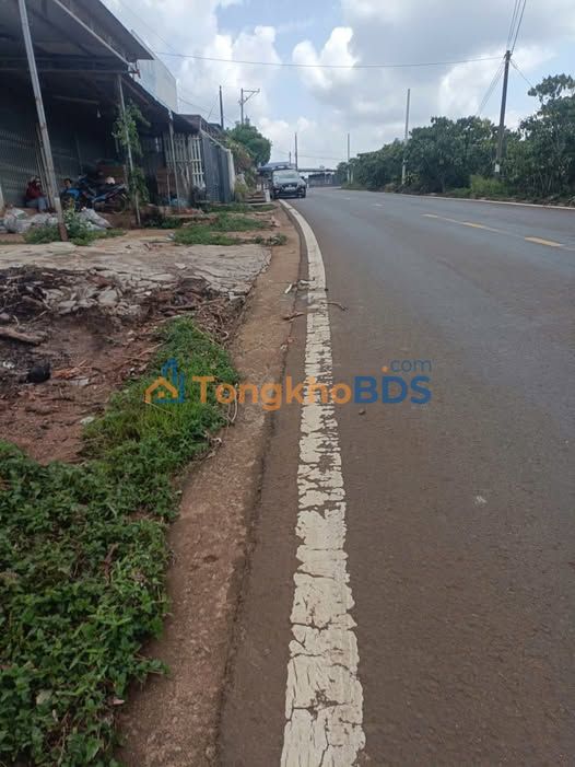 Bán Đất Vàng Mặt Tỉnh Lộ Bảo Lộc 4300m² - Giá Đầu Tư 3 Tỷ