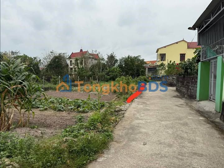 Đất QL1A Quảng Trạch 110m2 Thỏa thuận, tiềm năng tăng giá