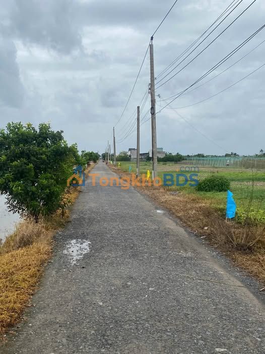 Đất nền 100m² Ấp Nam, Tân Điền, Tiền Giang - 700 triệu, Sẵn Sàng Xây Dựng