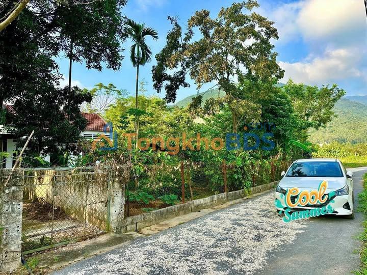 Đất nền Tam Đảo 822m² thỏa thuận - Sổ đỏ chính chủ