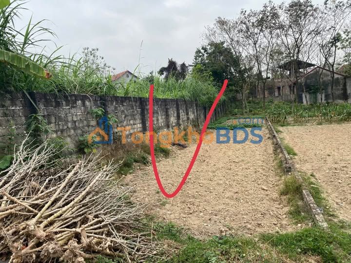 Đất nền Thôn Lĩnh Dầu 150m² giá 500 triệu - Hạ tầng hoàn thiện