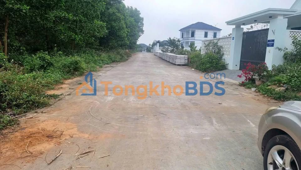 Đất nền Phú Ninh Thanh Vân 320m² 2 tỷ - Sổ đỏ chính chủ