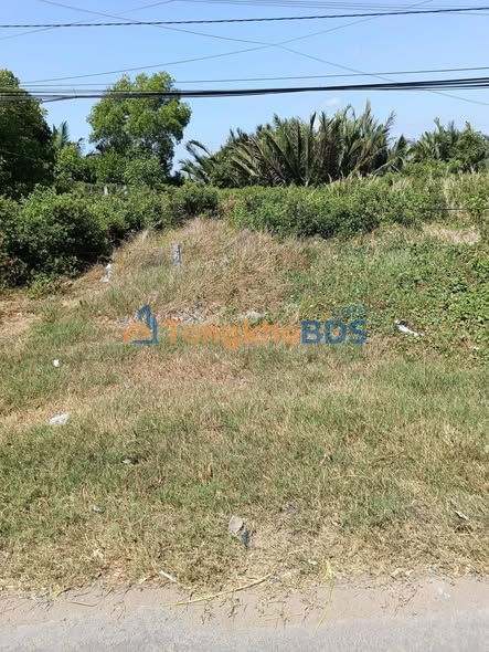 Đất nền Thạnh Phước QL57b 272m² 1,7 tỷ - Sổ đỏ