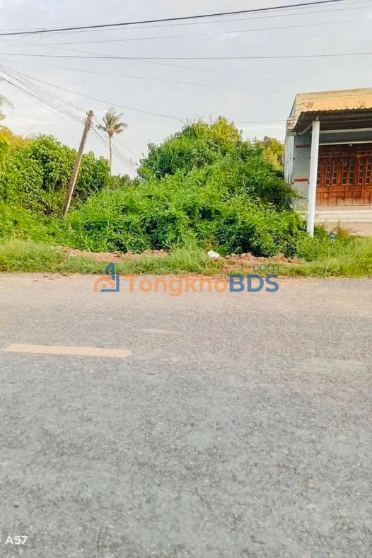 Đất nền Thạnh Trị Bình Đại 328m² 39.36 tỷ - Giá tốt hiếm có