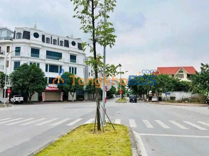 Đất Nền Cẩm Giàng 195m² - Mặt Tiền 12m Trục Chính Đôi Mai Hắc Đế