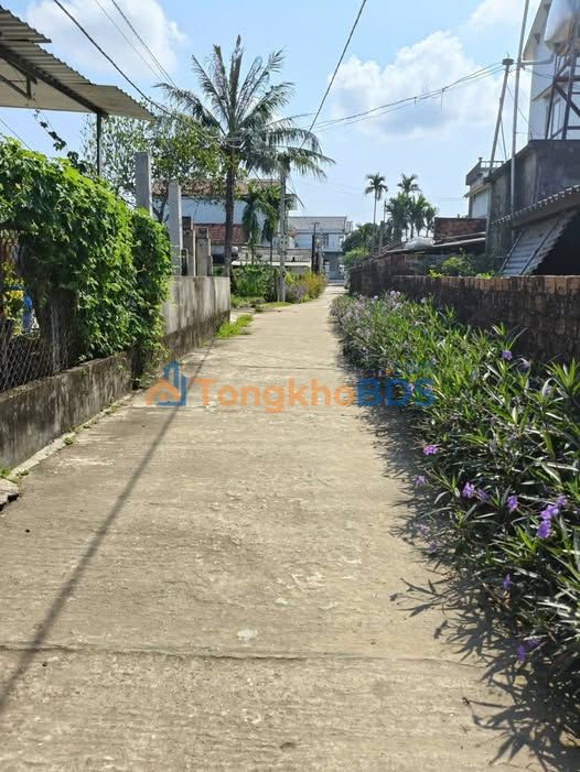 Đất Thổ Cư Mộ Đức, Quảng Ngãi - 120m² Sổ Đỏ, Giá Chỉ Từ 2.x Tỷ