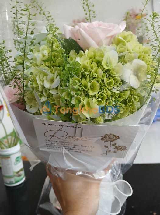 Bán Đất Nông Nghiệp Đà Lạt 599m² Sổ Riêng - Giá 2.6 Tỷ