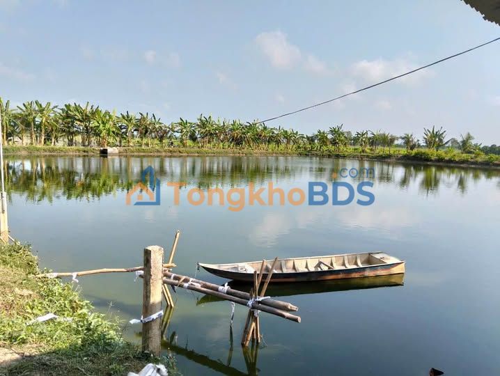 Farm Nuôi Cá 11 Công Thoại Sơn - Sẵn Sàng Vận Hành