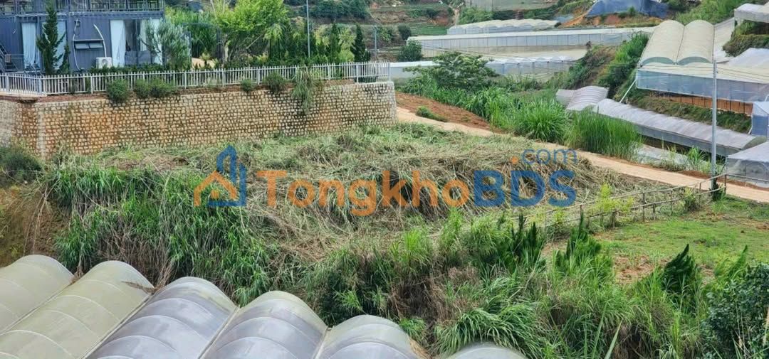 Đất Nền Xuân Thọ Đà Lạt 500m² - Giá Đầu Tư 2.1 Tỷ