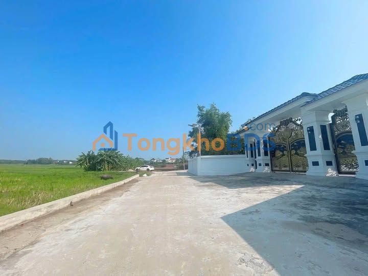 Đất Thắng, Hiệp Hòa, Bắc Giang - 140m² - Sổ đỏ sẵn sàng giao dịch