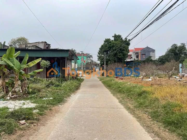 Đất Lục Nam, Bắc Giang - 204m² Trục Thôn Sầm Uất - Giá 8 Tỷ