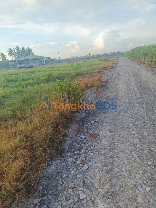 Đất nền Phước Đông Gò Dầu 378m² - Mặt tiền đường đá, 5 phút tới KCN