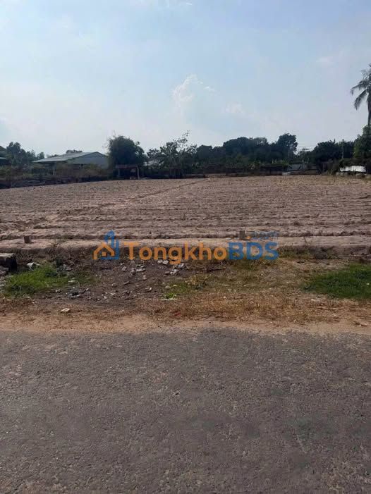 Đất nền Long Hoa, Hòa Thành 240m² 30.96 tỷ - Sổ đỏ chính chủ