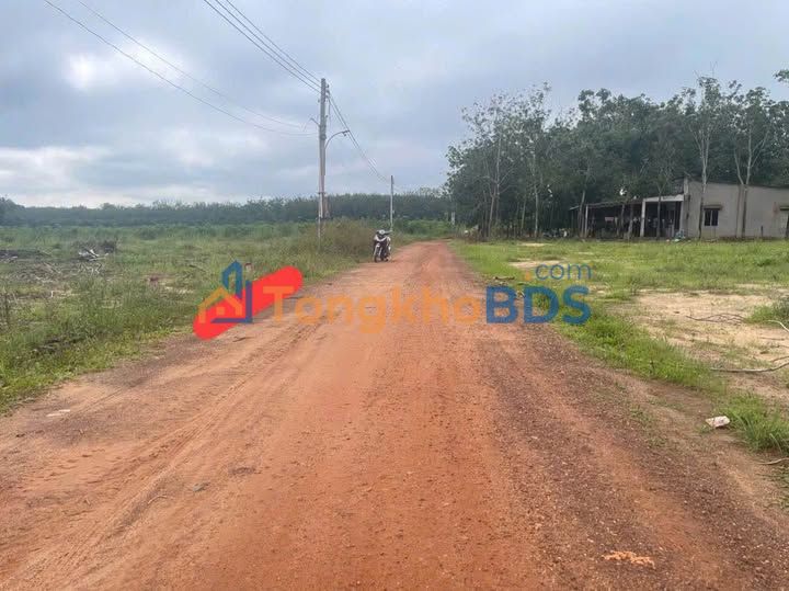 Đất nền Minh Tân Dầu Tiếng 250m² 3xx - Tiềm năng tăng giá