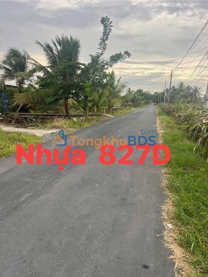 Đất nền Long An TL827D 270m² 990 triệu - Sổ hồng chính chủ