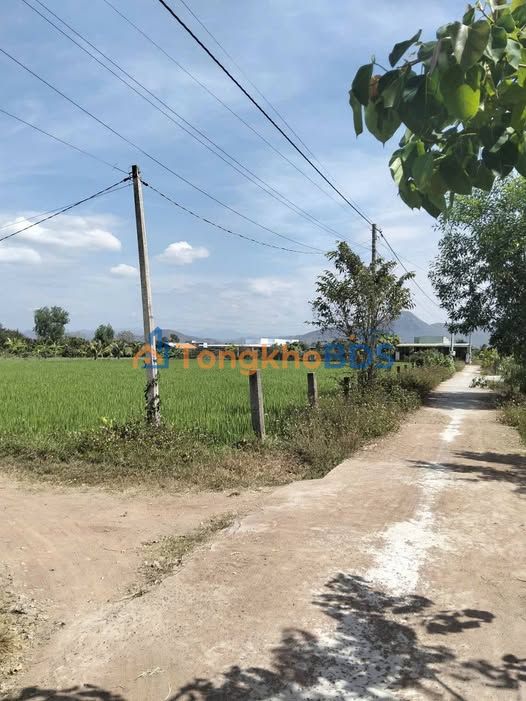 Đất nền Hàm Phú 1000m² 450 triệu - Sổ đỏ thổ cư