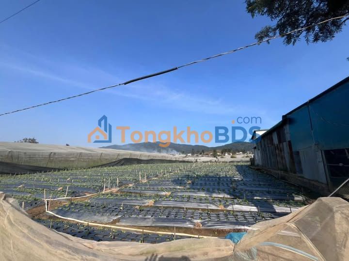 Đất nền Bình Thạnh Đức Trọng 170m2 400 triệu - Sổ đỏ chính chủ