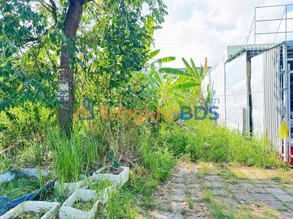 Đất nền Nguyễn Thị Sáu Cái Răng 120m² 4 tỷ - Hạ tầng hoàn thiện