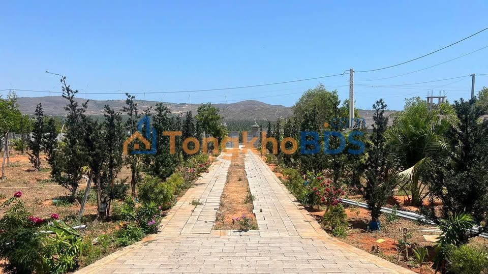 Đất nền Mũi Né 2000m² 5 tỷ - Đường to ô tô