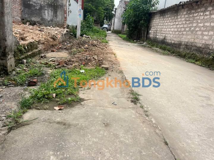 Đất nền F0 TDP Thiện Dũ, Bắc Ninh - 57.6m² - Giá 1.x Tỷ