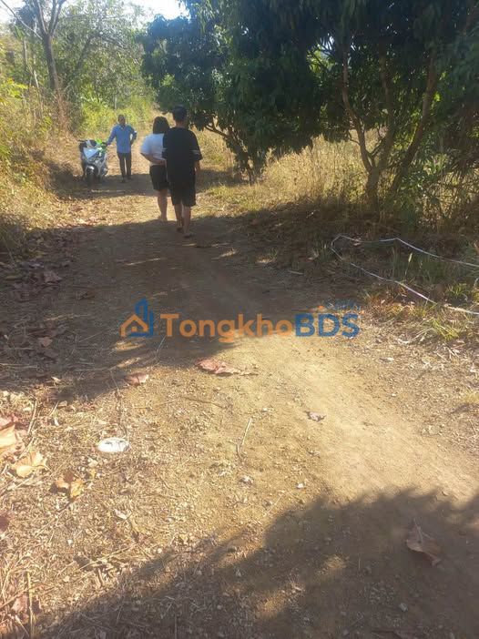 Đất nền Ea Nuôi Buôn Đôn 200m² giá 1.45 tỷ - Tiềm năng tăng giá