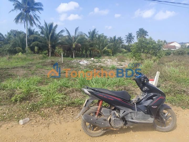 Đất nền Thôn 8 Cư Ni 222m² 370 triệu – Pháp lý rõ ràng