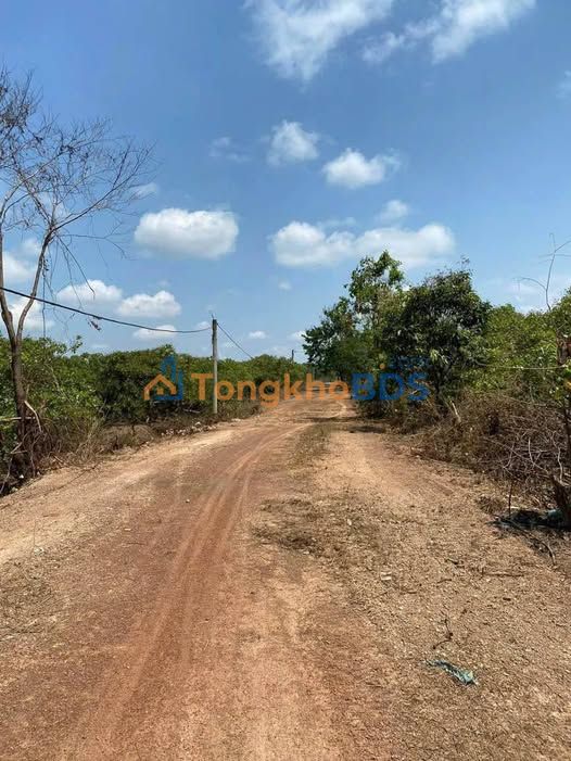 Farm Thôn 11 Đắc Địa 9.500m² giá 1.2 tỷ - Sinh thái xanh