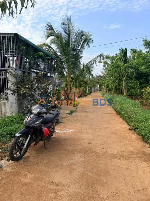 Đất nền Hòa Xuân Nam Đông Hòa 595tr - Sổ đỏ chính chủ