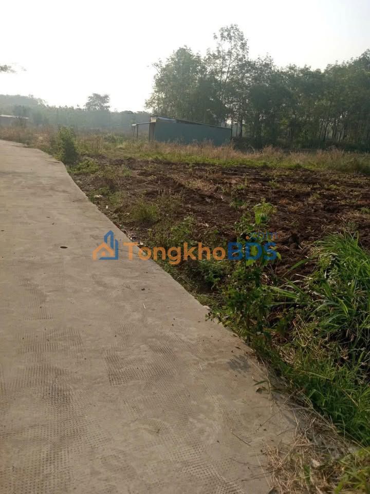 Bán đất Lộc Phú, Bình Phước 3600m² - Sổ sẵn, mặt tiền rộng thoáng